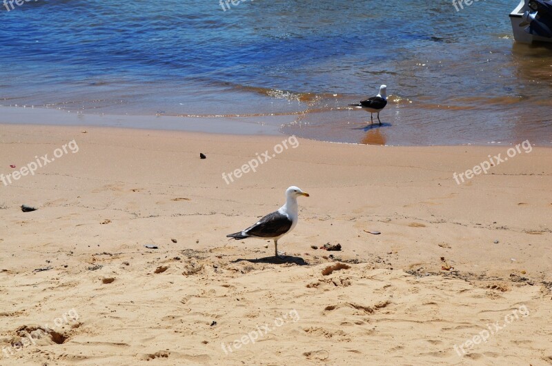 Beach Mar Beira Mar Nature Sand