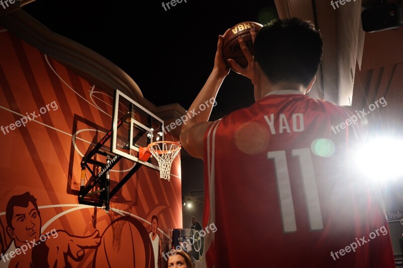 Museum Basketball Player Basket Ball