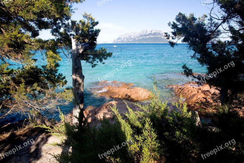 Italy Coastline Sea Island Mediterranean