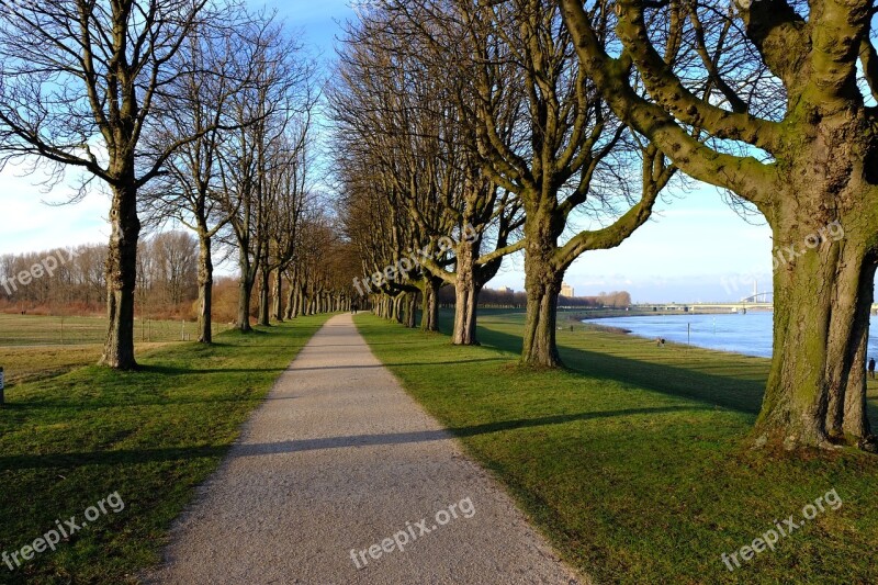 Neuss Rhine Away Avenue Dike