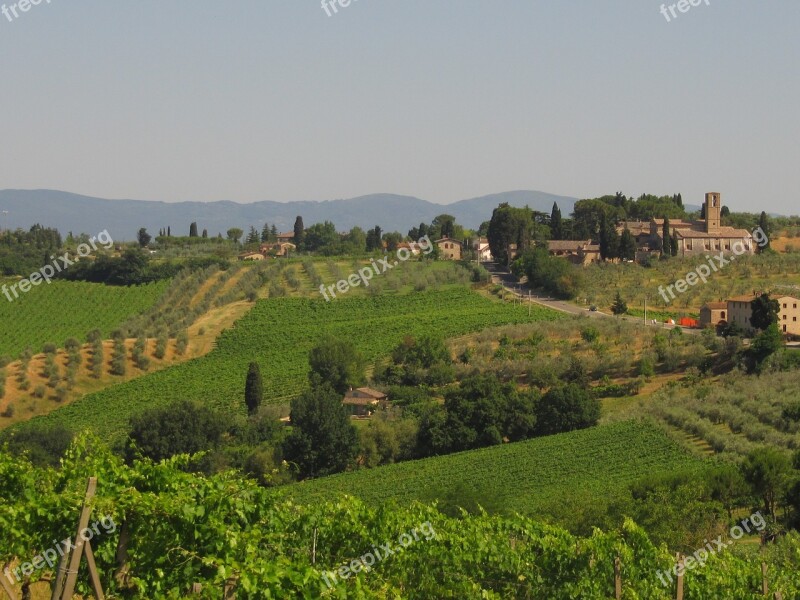 Tuscany Agriculture Winegrowing Olives Landscape