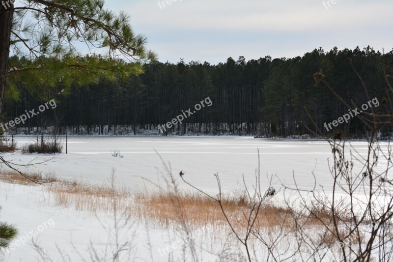 Frozen Lake Pond Snow Nature