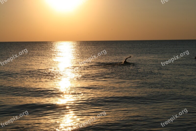 Swimmer Baltic Sea Water Ocean Sea