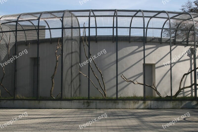 Cage Zoo Enclosure Imprisoned Captivity