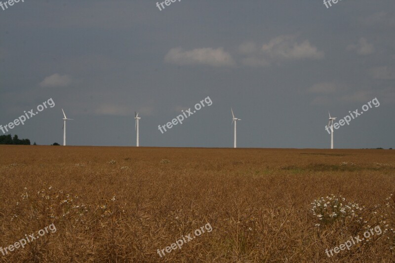 Field Cornfield Pinwheel Sky Clouds