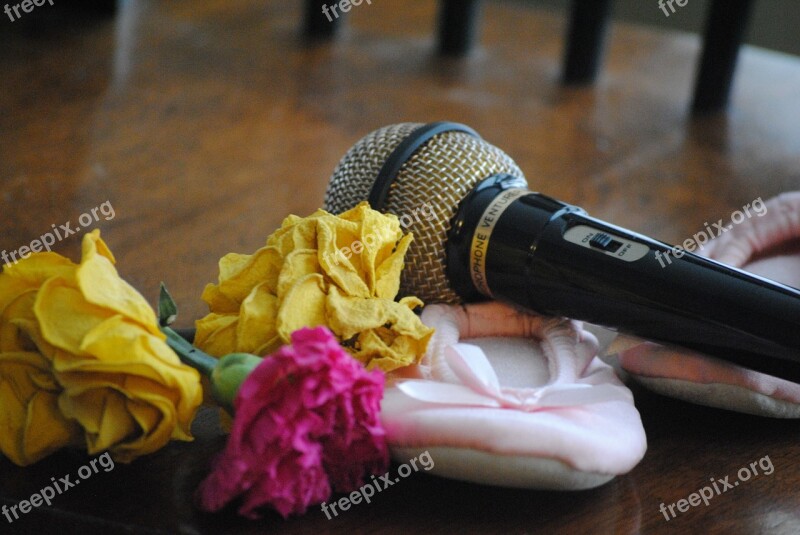 Microphone Roses Ballet Slippers Dance