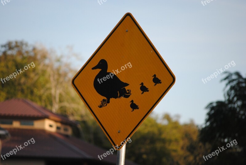 Sign Symbol Duck Animal Icon