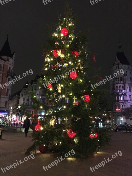 Christmas Tree Merry Christmas Winter December Christmas