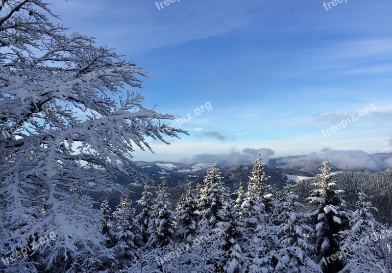 Black Forest Winter Sun Snow Sky