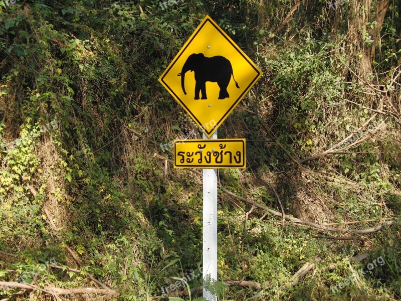 Elephant Traffic Sign Warnschild Attention Elephant Road Sign