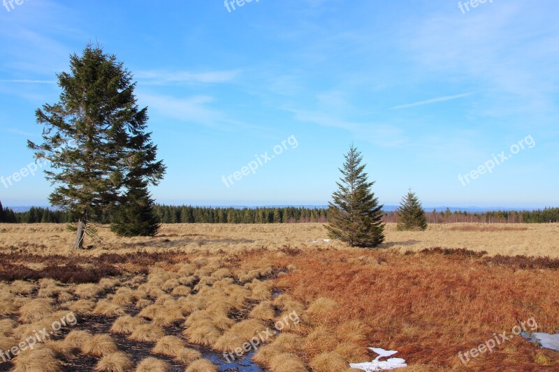 Landscape Venn Belgium Moor Nature