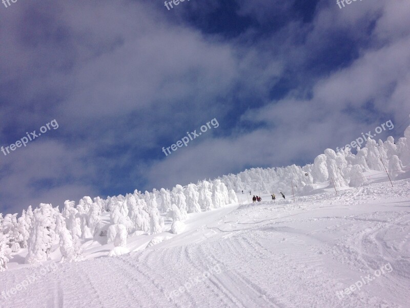 Rime Ice Zao Fine Weather Free Photos