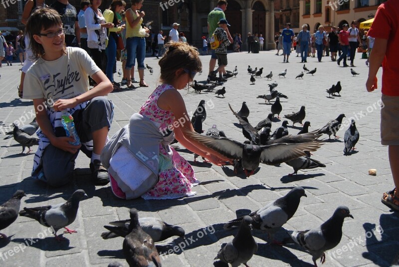 Kraków The Market The Old Town Pigeons St Mary's Church