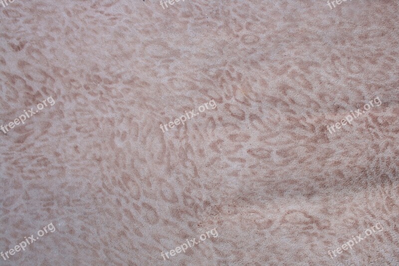 A Leopard Leather Chiba Leather Texture Texture