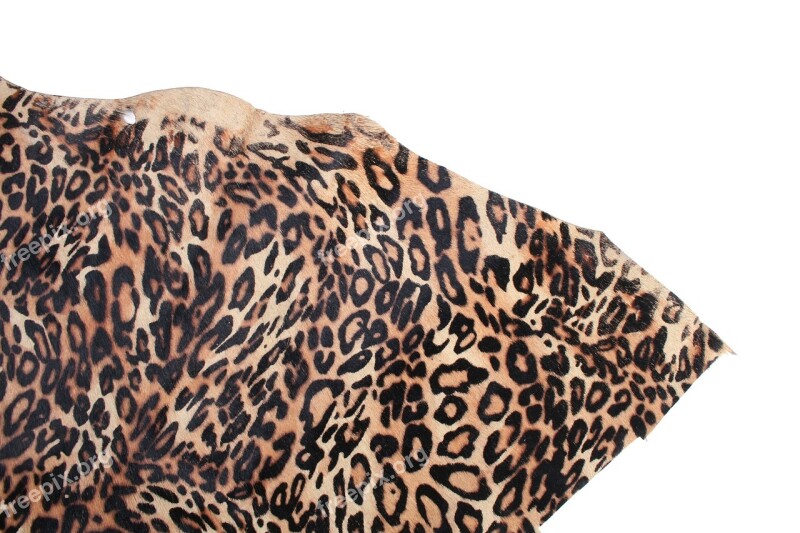 A Leopard Leather Chiba Leather Texture Texture