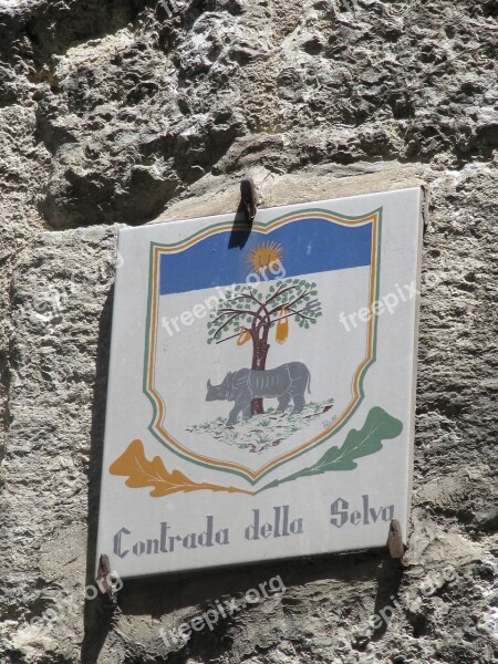 The Contrade Of The Forest Palio Siena District Horse Racing