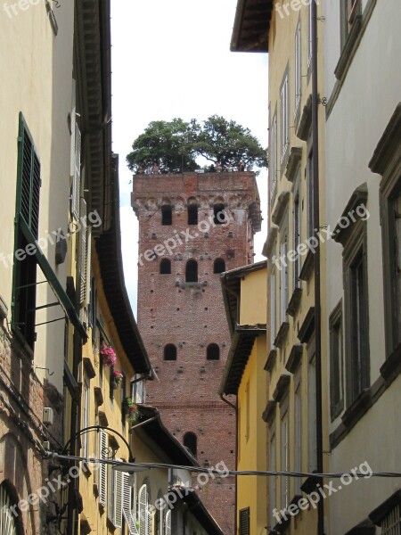 Lucca Tower Overgrown Stone Oak Free Photos