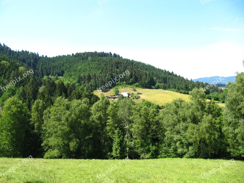 Black Forest Green Hill Landscape Idyllic