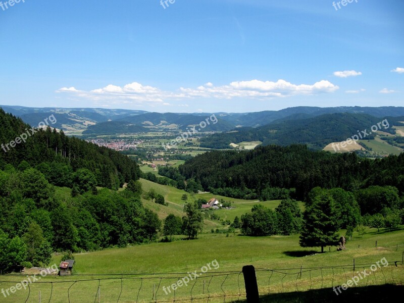 Black Forest Firs Valley Landscape Idyll