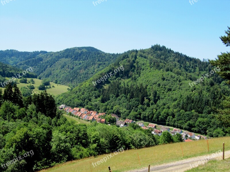 Black Forest Firs Valley Landscape Free Photos