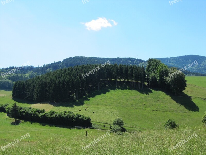 Black Forest Firs View Landscape Idyll