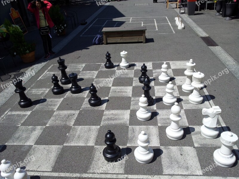 Chess Interlaken Swiss Free Photos