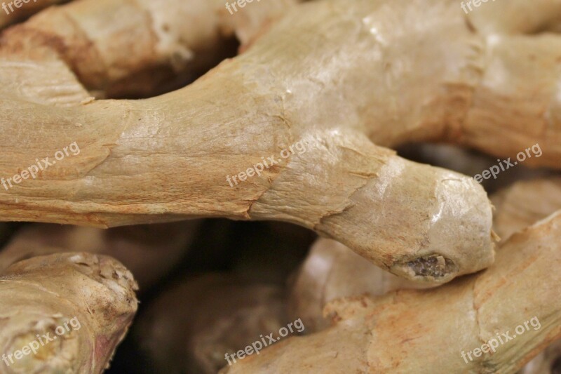 Ginger Tuber Healthy Spicy Free Photos