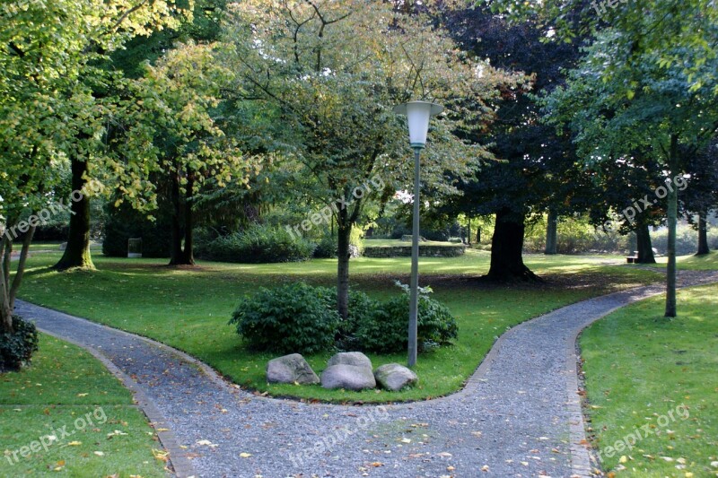 Way Park Trees Fork Free Photos