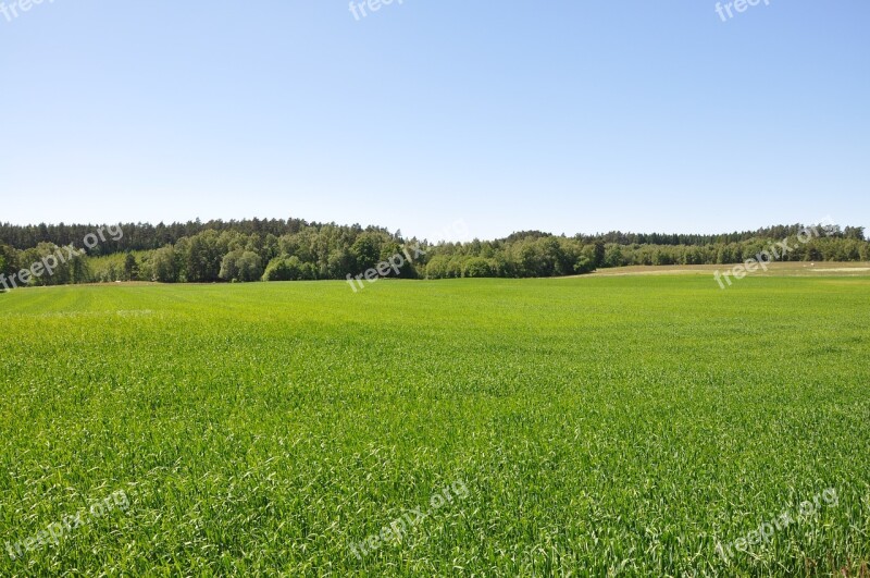 Grass Go Summer Country Bed