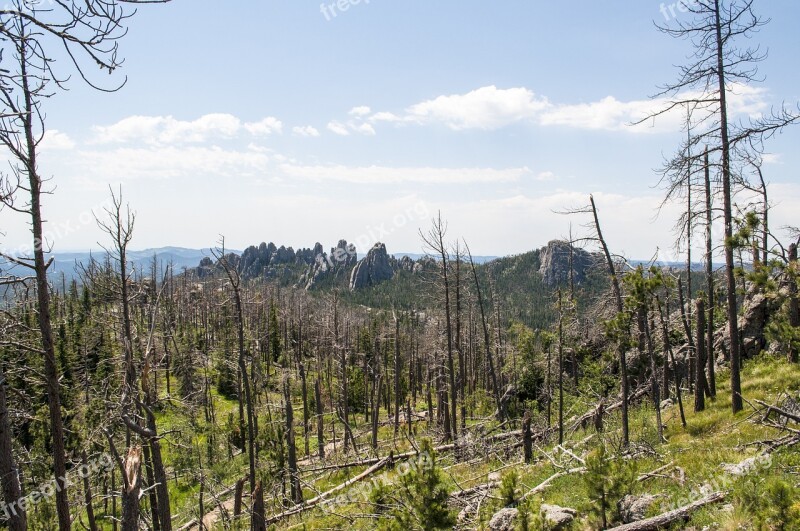 Custer State Park Landscape Panorama Scenic Dakota