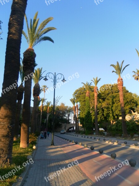 Kos Old Town Greece Free Photos