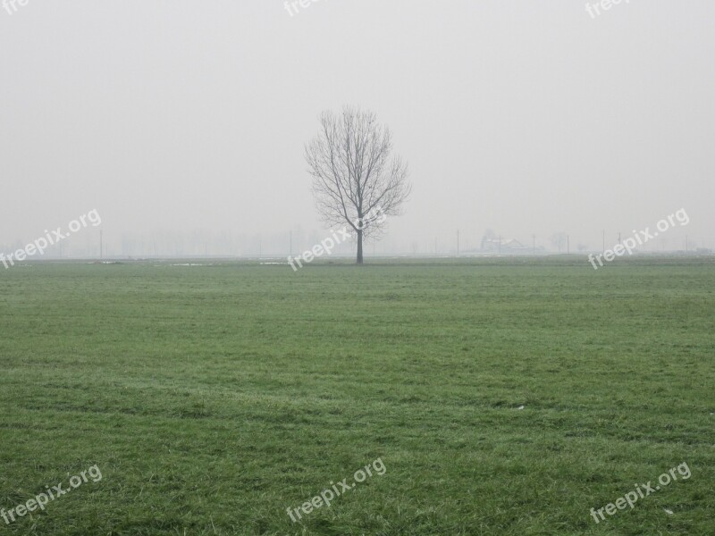 Winter Nature Campaign Fog Tree