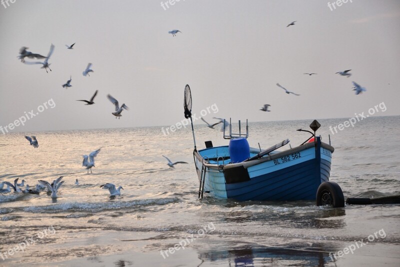 Fishing Vessel Seagulls Sea Fishing Free Photos