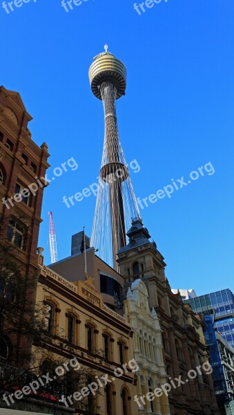 Sydney Tower City View From The Bottom Tv Tower Free Photos