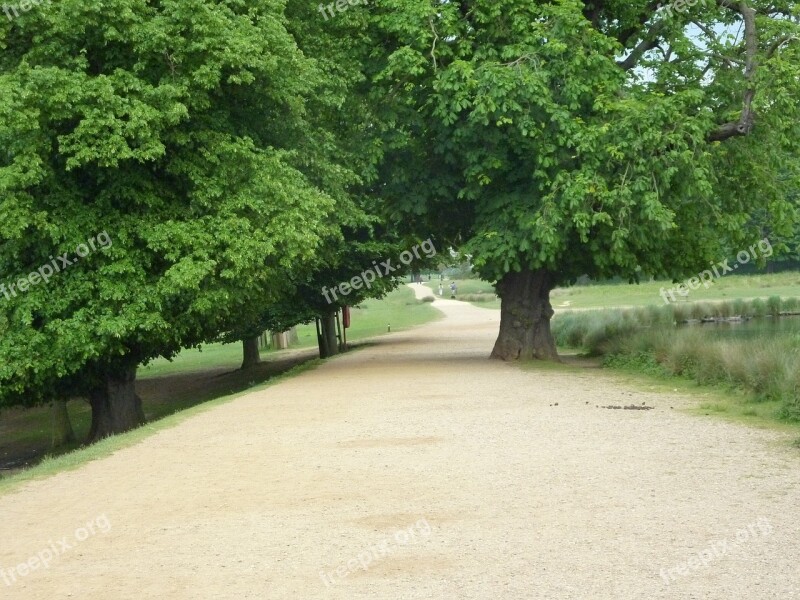 Richmond Park Park Nature Outdoors Richmond