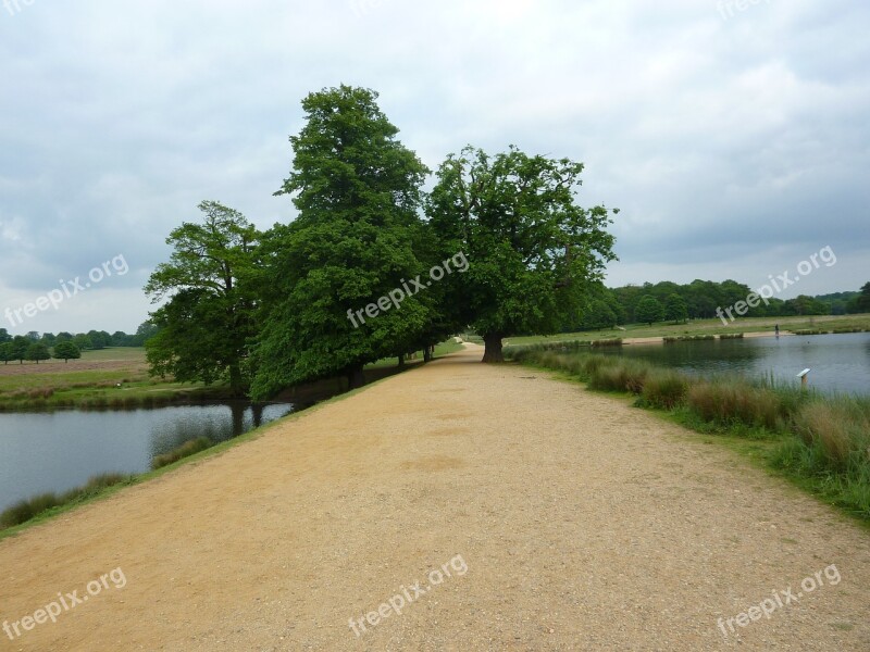 Richmond Park Trees Nature Richmond London