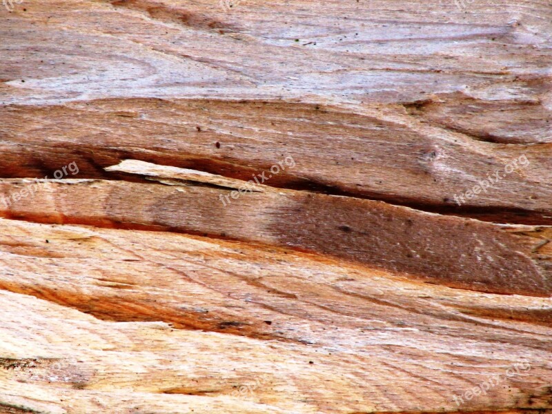 Wood Texture Grain Wood Structure Background