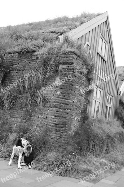 Dog House Village Bezludzie Iceland