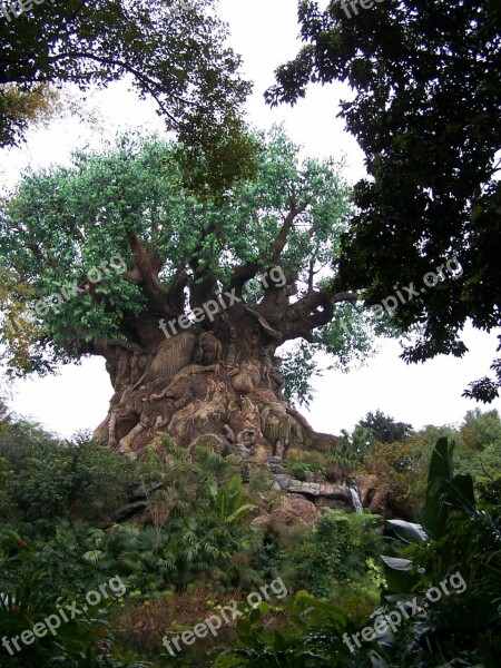 Tree Of Life Animal Kingdom Disney Free Photos