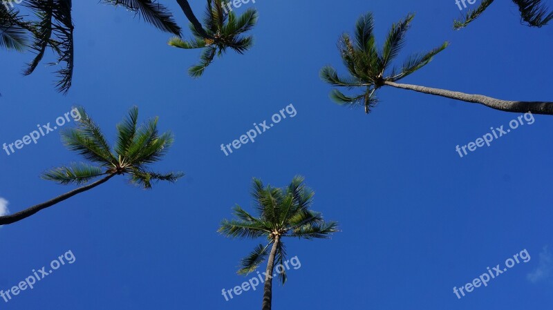 Landscape Blue Sky And White Clouds Woods Free Photos