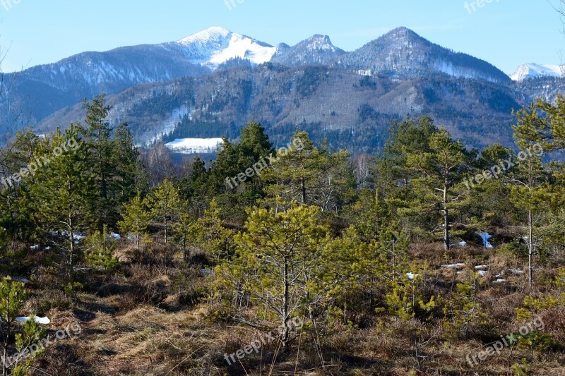 Landscape Nature Chiemgau Bavaria Mountains