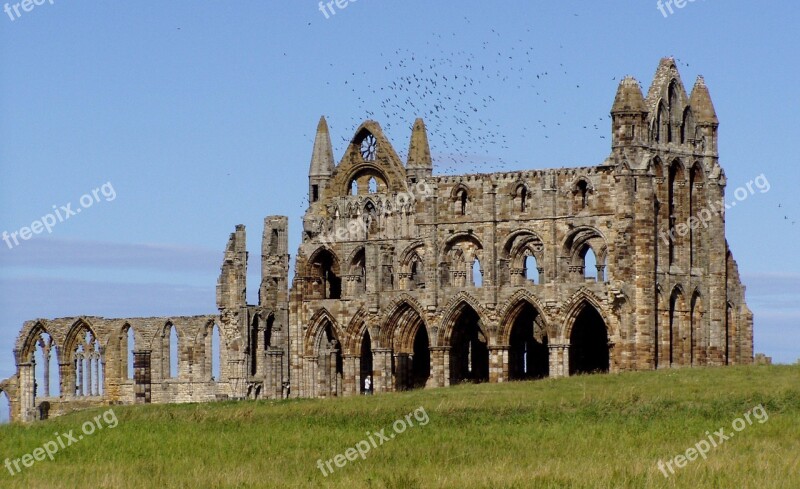 Ruin Pasture Meadow England Historically