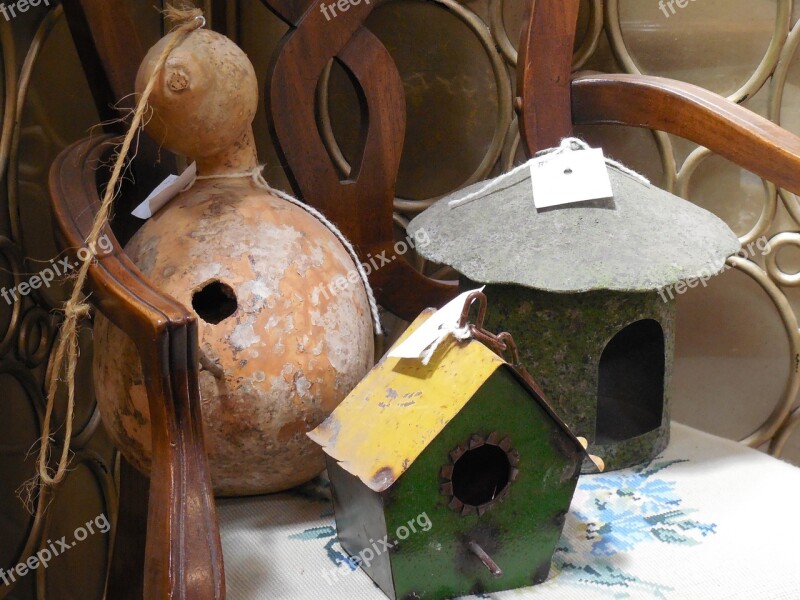 Birdhouse Gourd Bird House Garden