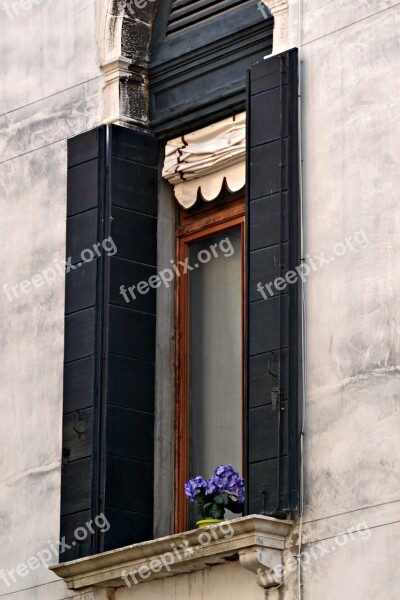 Window Flowers Shutters Venice Italy