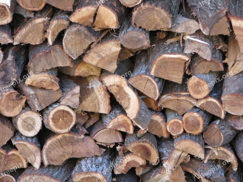 Firewood Wood Timber Pile Heap