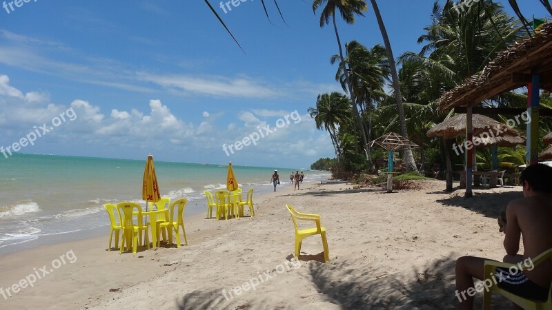 Holidays Maceió Brazil Beach Litoral