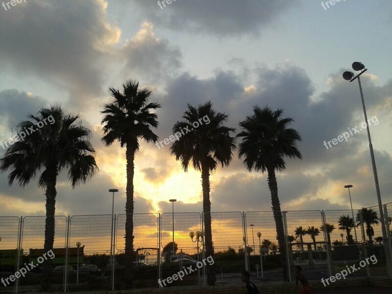 Palm Trees Cloud 4 Palm Sunset Sky