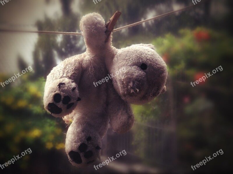 Teddy Bear Bear Clothes Line Drying Spring