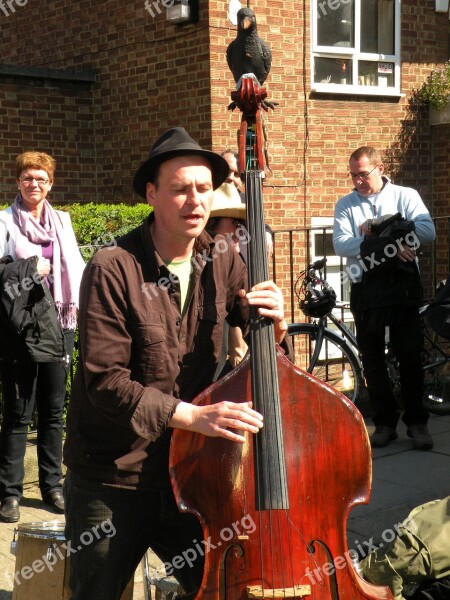 Musician Cello Street Music Artist