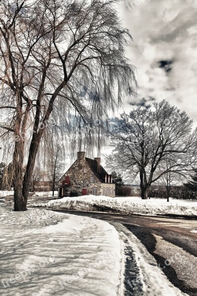 House Landscape Winter Tree Snow